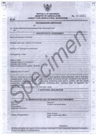 Phytosanitary certificate / CITES export papers